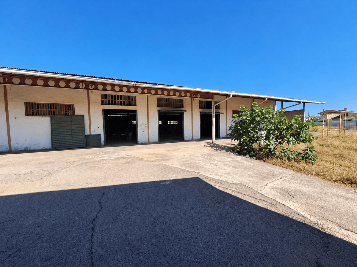 Nave en Venta en Avinguda de Ramon Bataller - 8