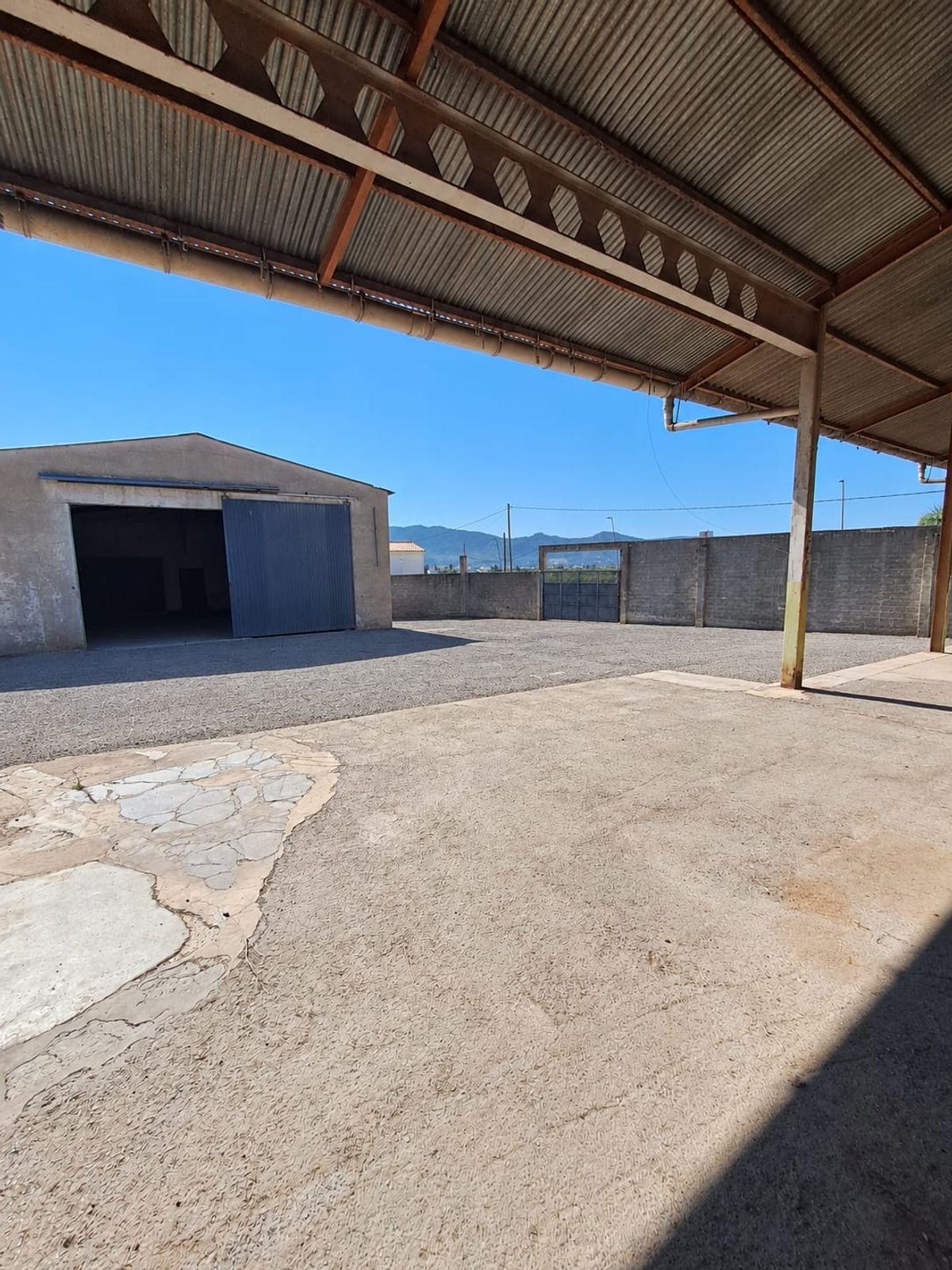 Nave en Venta en Avinguda de Ramon Bataller - 11