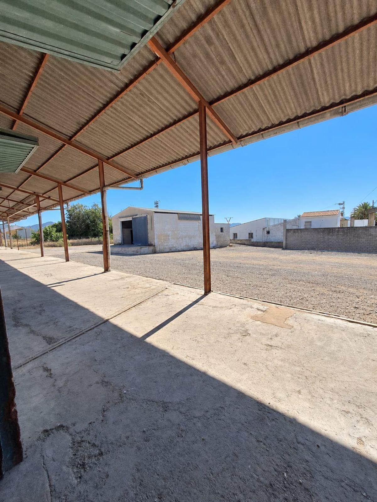 Nave en Venta en Avinguda de Ramon Bataller - 10