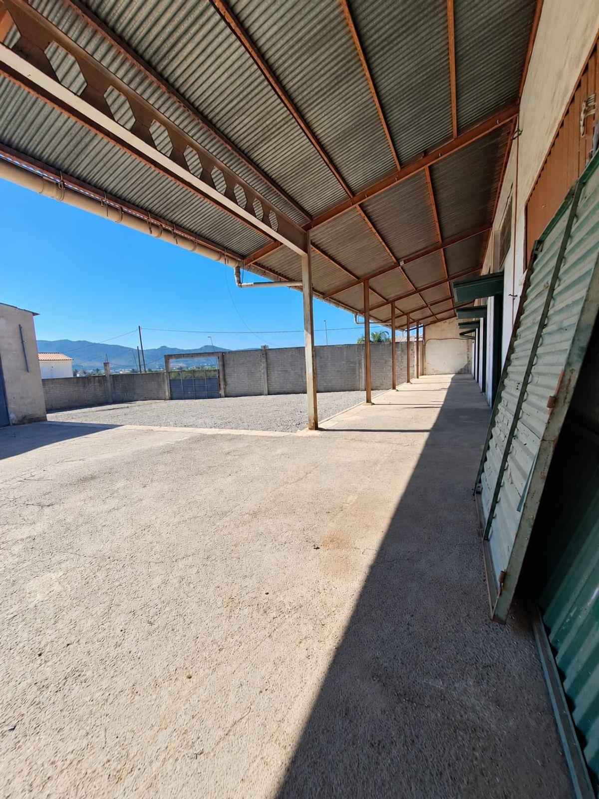 Nave en Venta en Avinguda de Ramon Bataller - 9