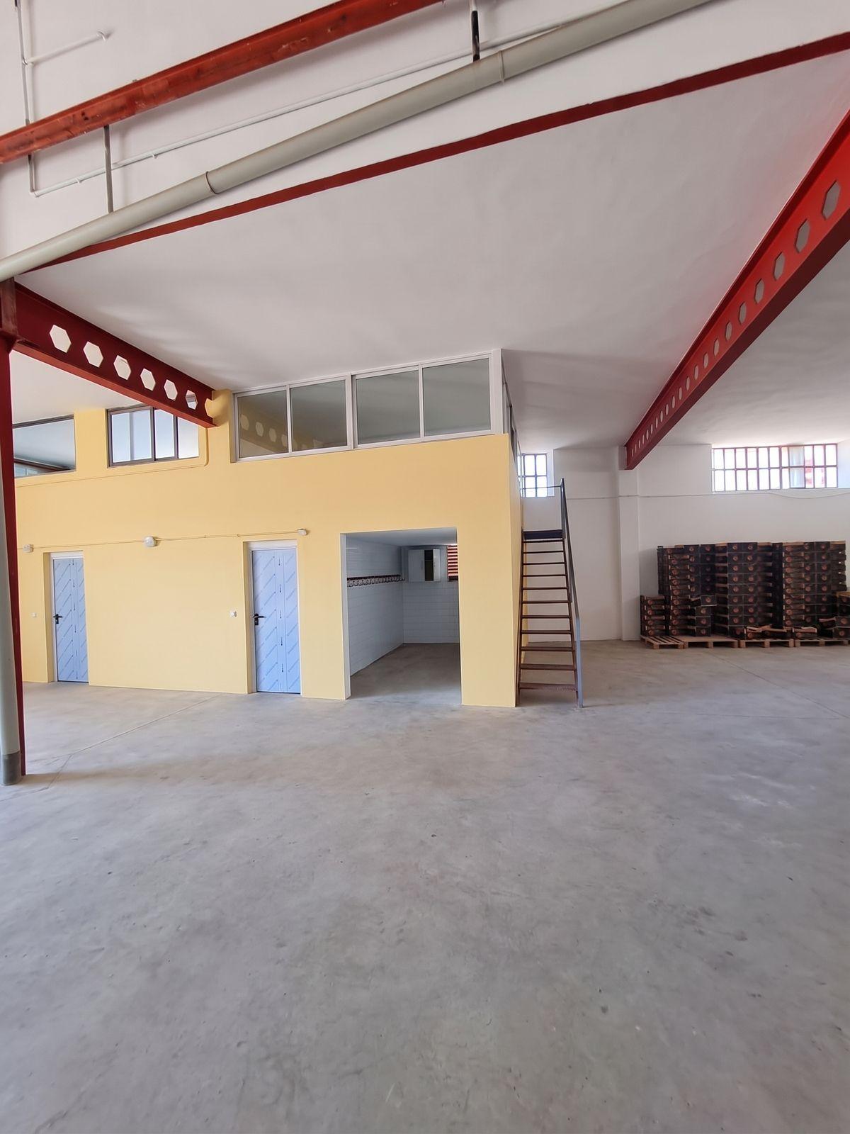 Nave en Venta en Avinguda de Ramon Bataller - 6