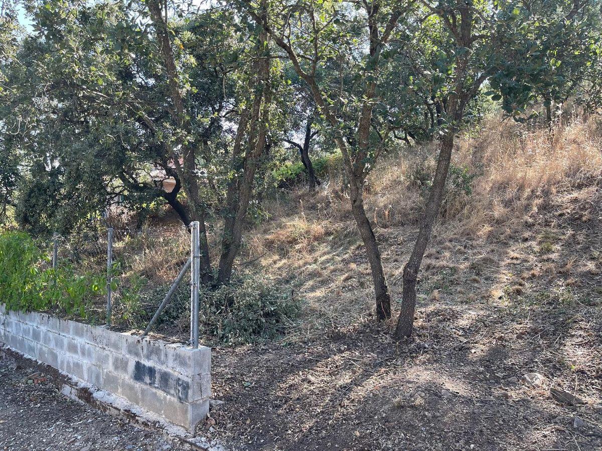 Terreno residencial en Venta en Calle el Pino - 12