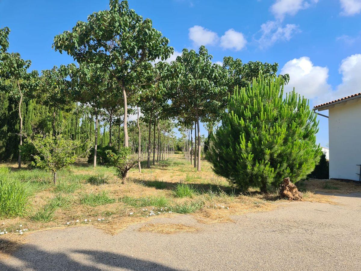 Casa rústica en Venta en Lugar Matoses - 14