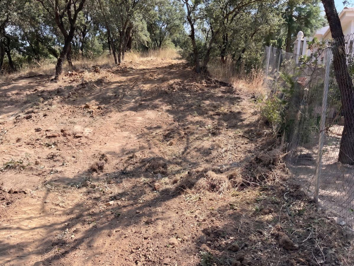 Terreno residencial en Venta en Calle el Pino - 10