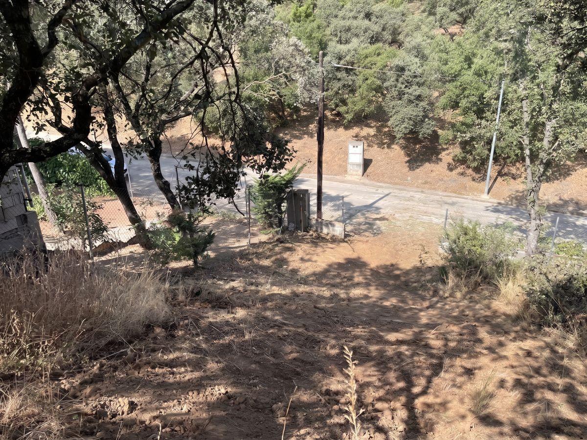 Terreno residencial en Venta en Calle el Pino - 2