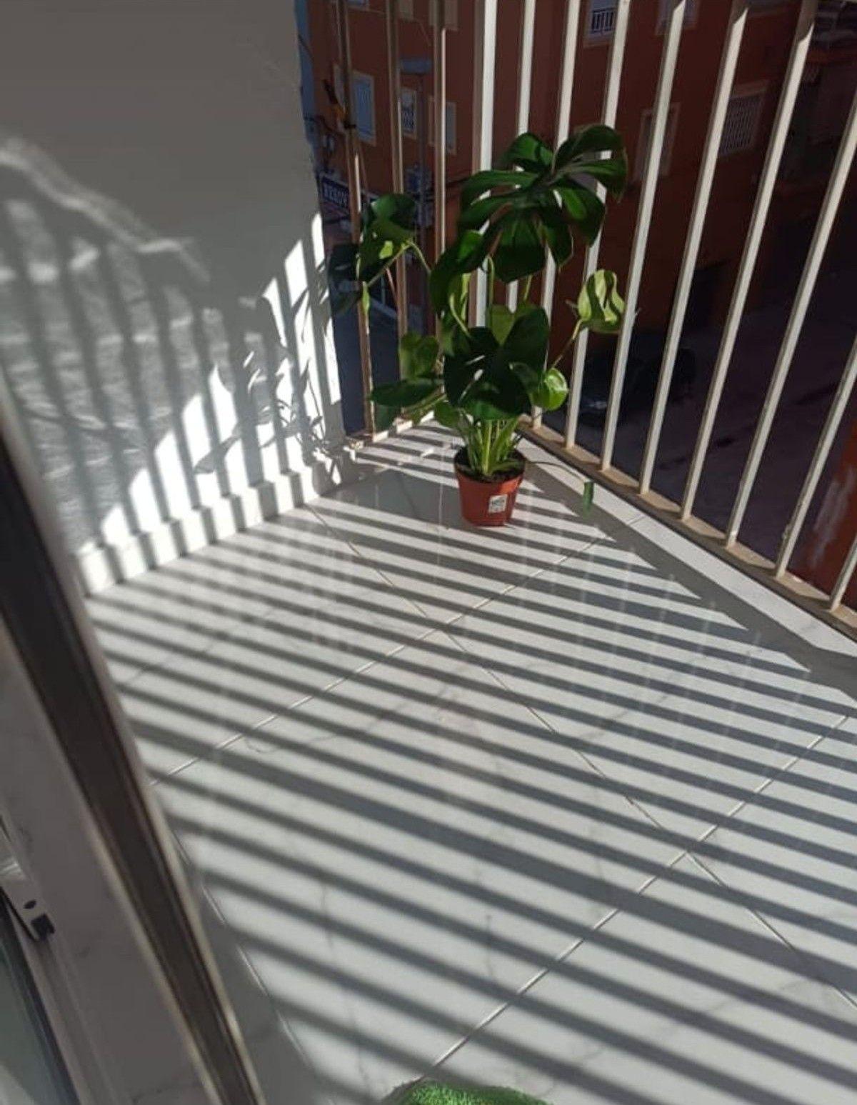 Piso en Venta en Avenida Pare Pompili - 9
