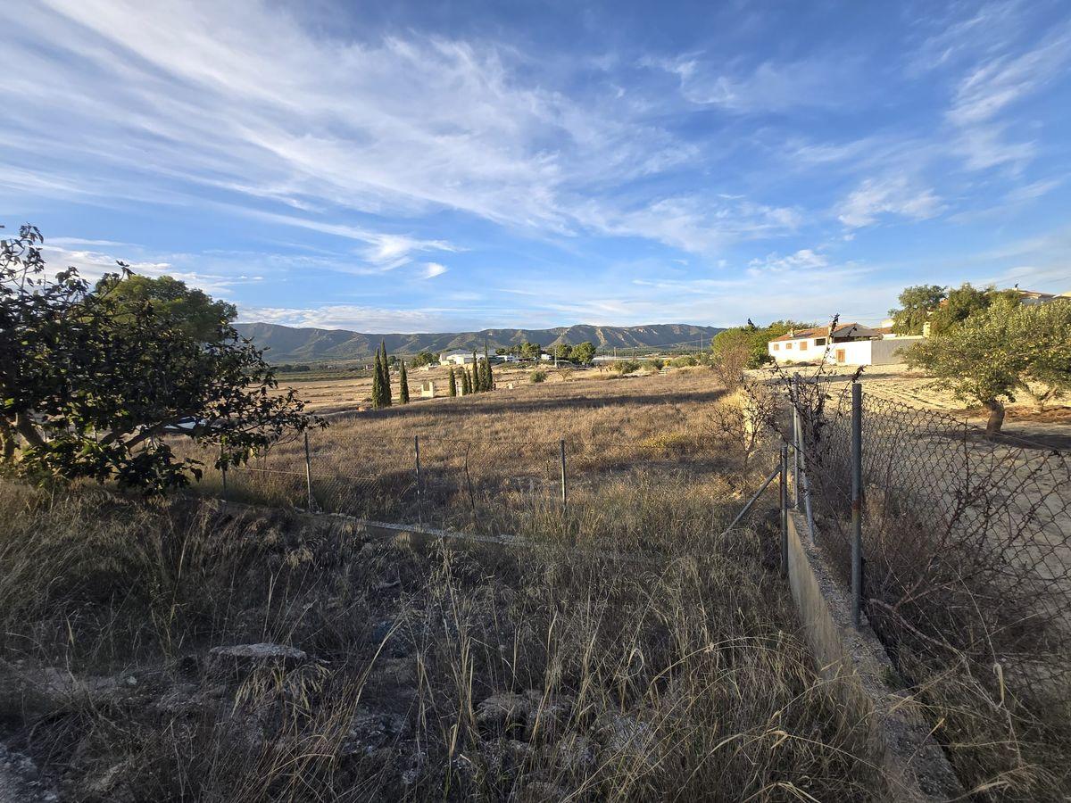 Casa rústica en Venta en Partida Canyades d'en Cirus - 39