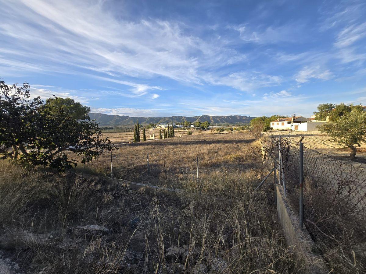 Casa rústica en Venta en Partida Canyades d'en Cirus - 45