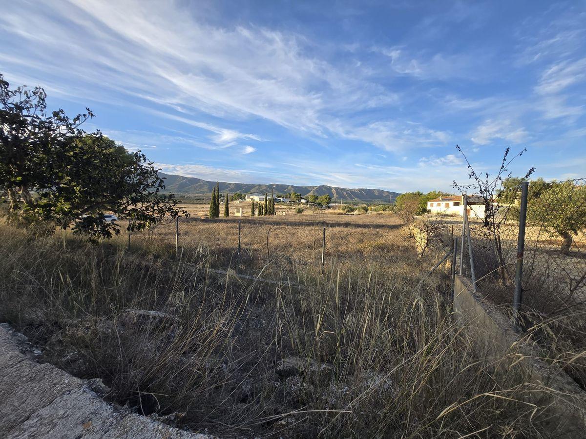 Casa rústica en Venta en Partida Canyades d'en Cirus - 37