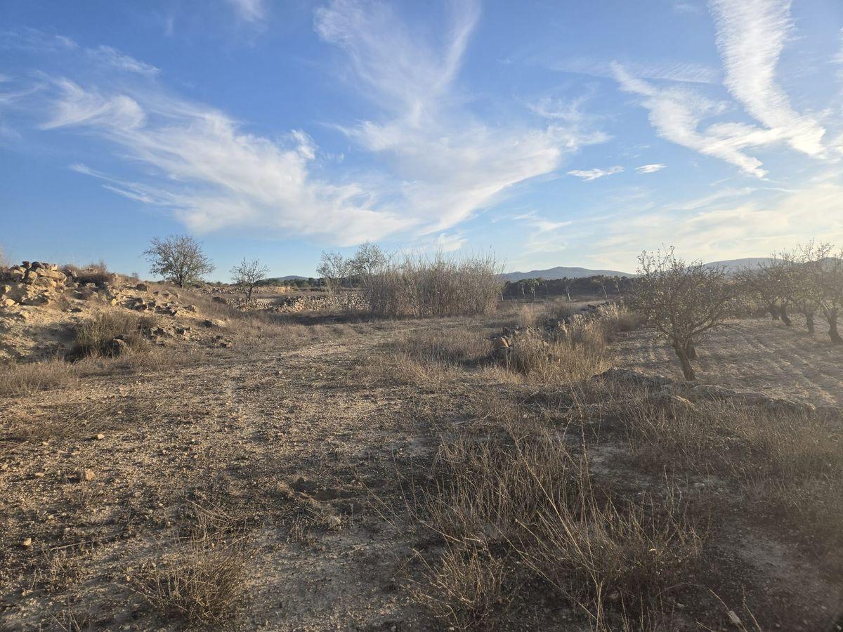 Casa rústica en Venta en Partida Canyades d'en Cirus - 56