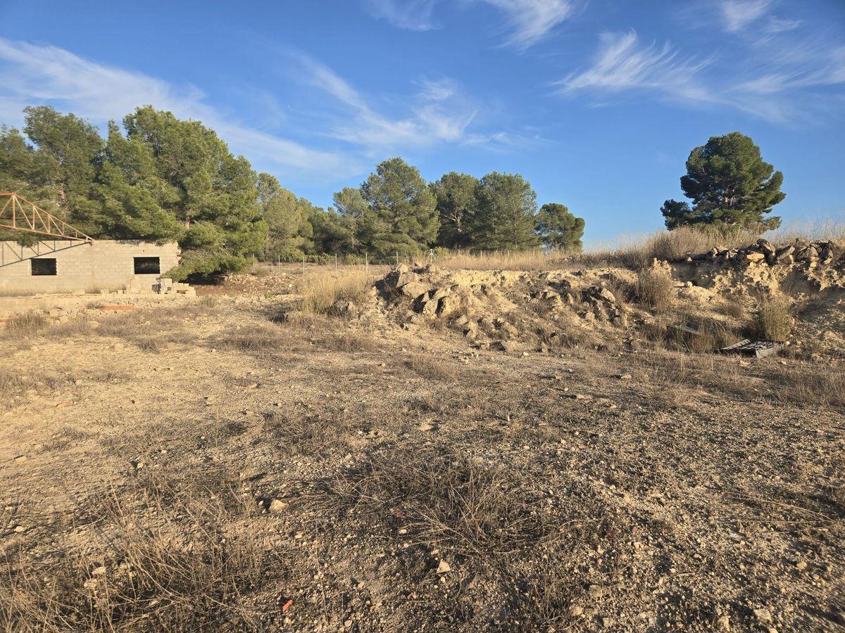 Casa rústica en Venta en Partida Canyades d'en Cirus - 53