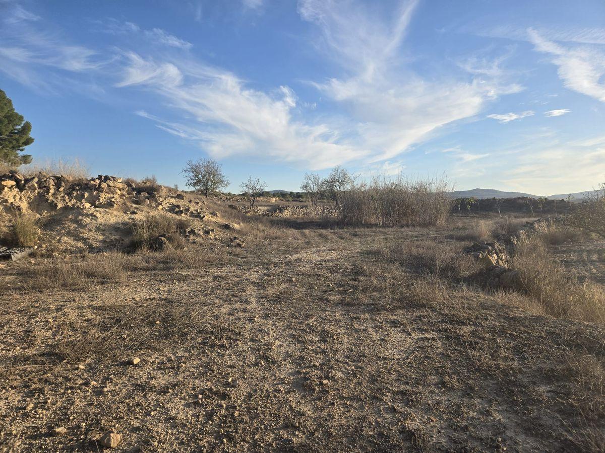 Casa rústica en Venta en Partida Canyades d'en Cirus - 54