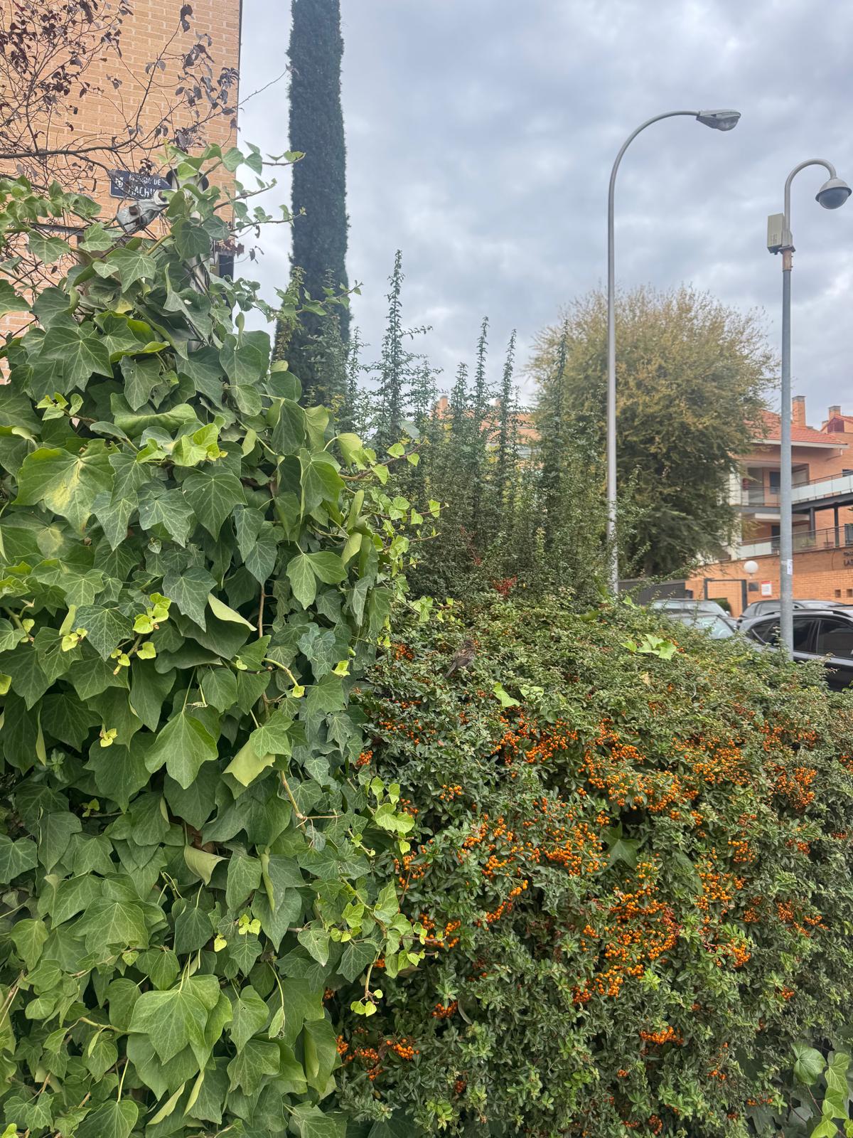 Piso en Venta en Santa Ana (León) - 3