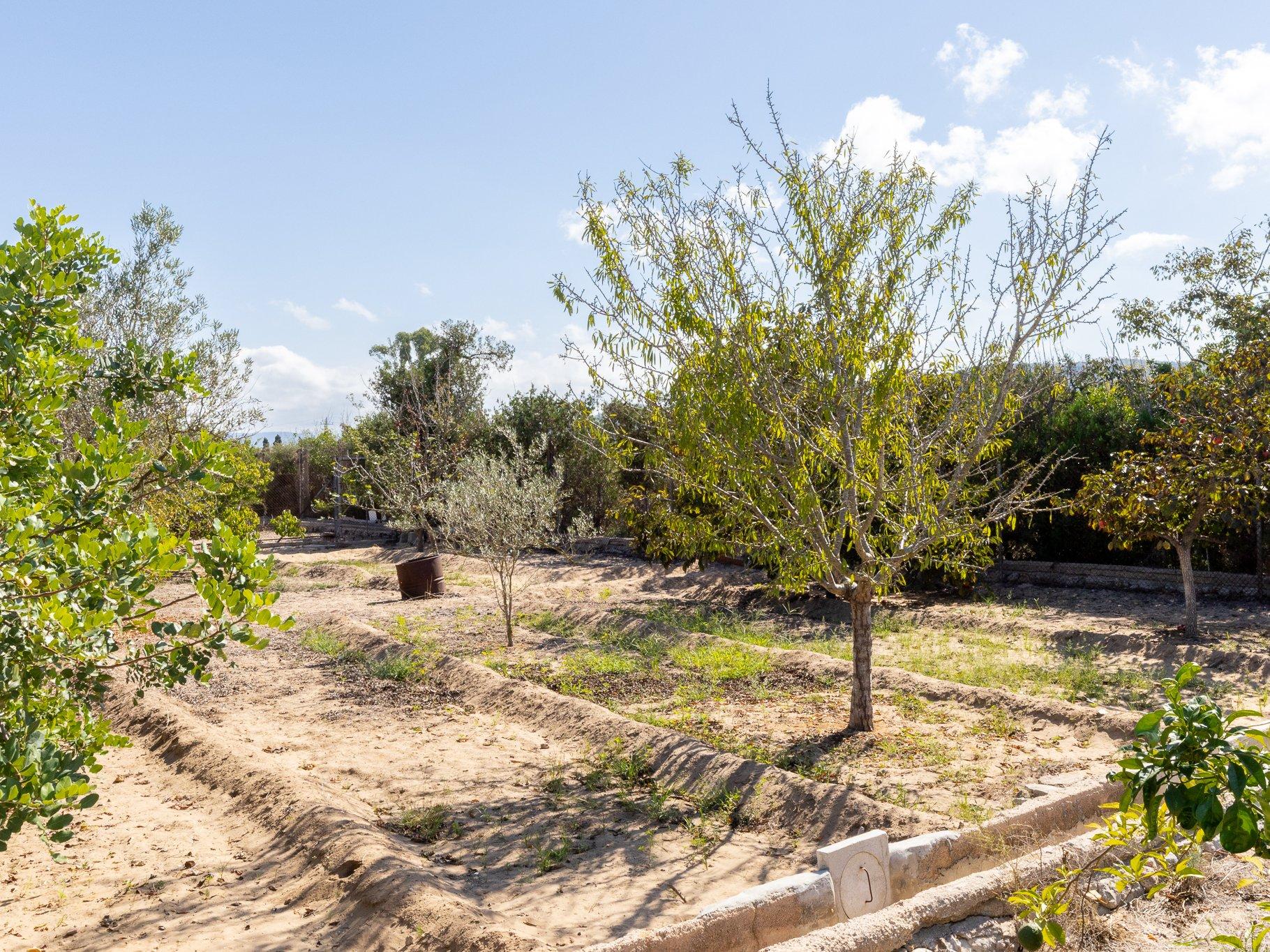 Vivienda en primera planta con piscina privada y gran parcela – Playa de Gandía (L’Ahuir)  - 32