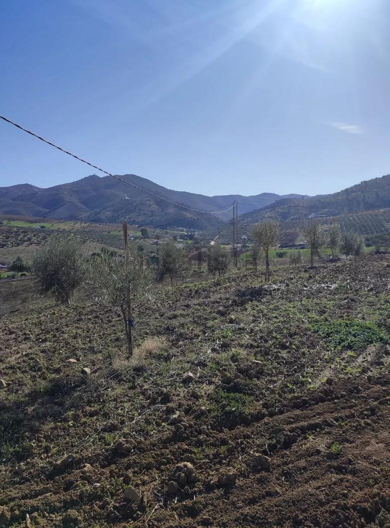 Parcela no edificable en venta en Villanueva de la Concepción, Málaga - 1