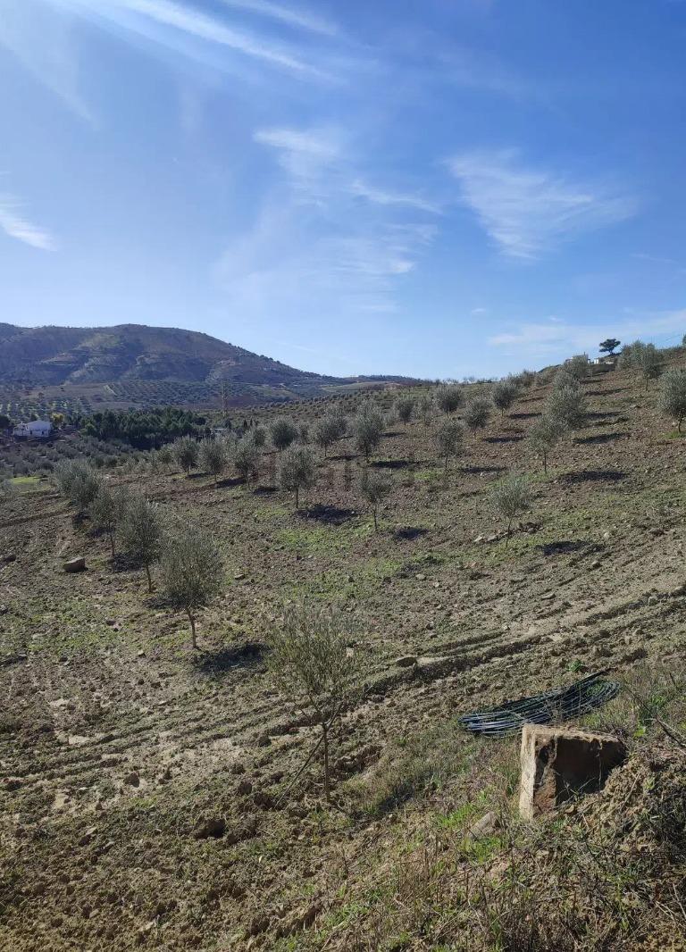 Parcela no edificable en venta en Villanueva de la Concepción, Málaga - 2