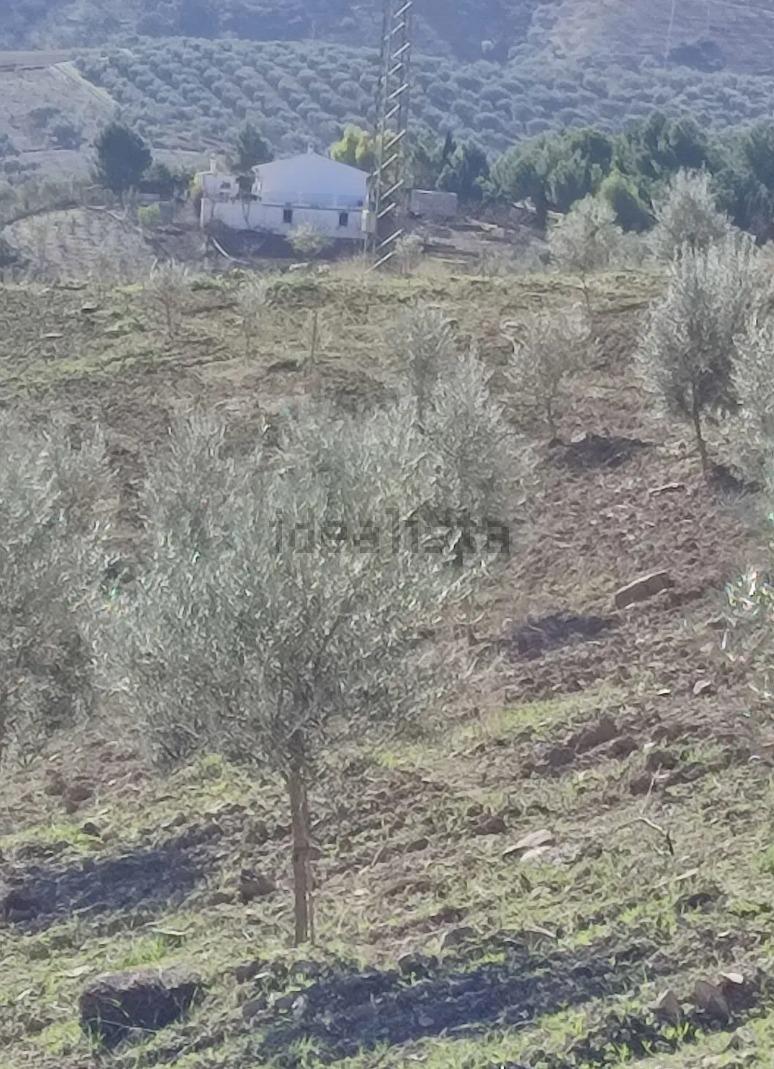 Parcela no edificable en venta en Villanueva de la Concepción, Málaga - 3