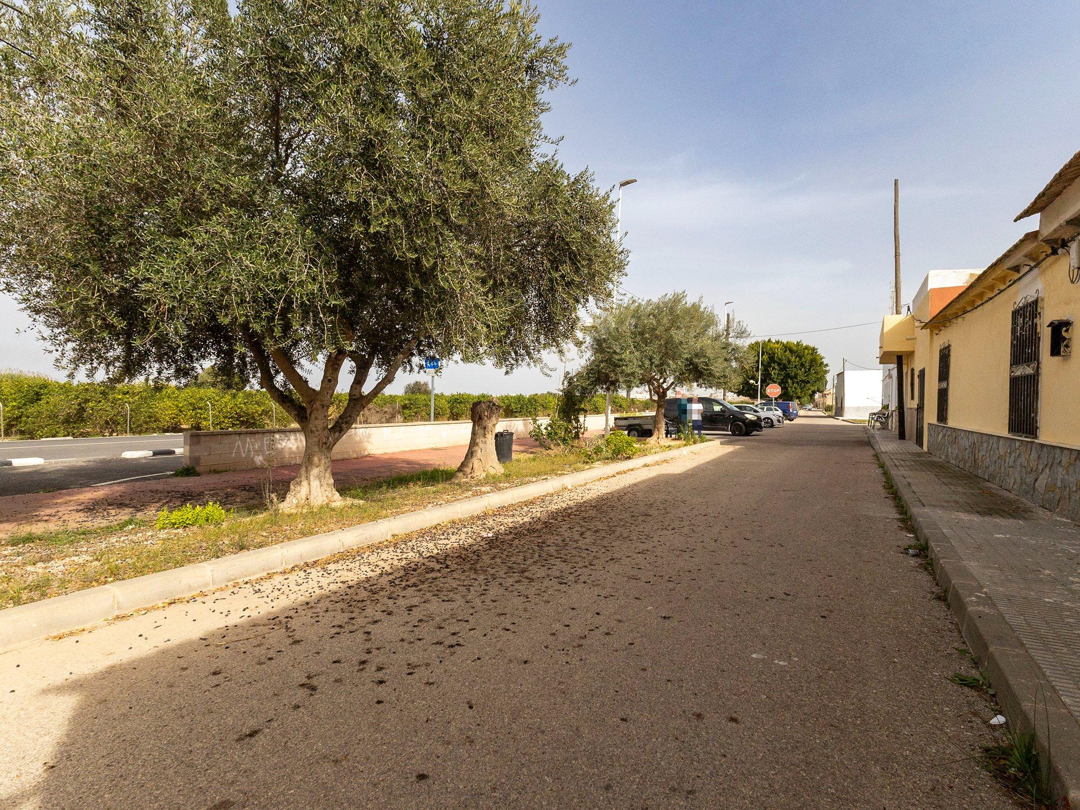  Casa adosada en venta - Almoradí  - 16