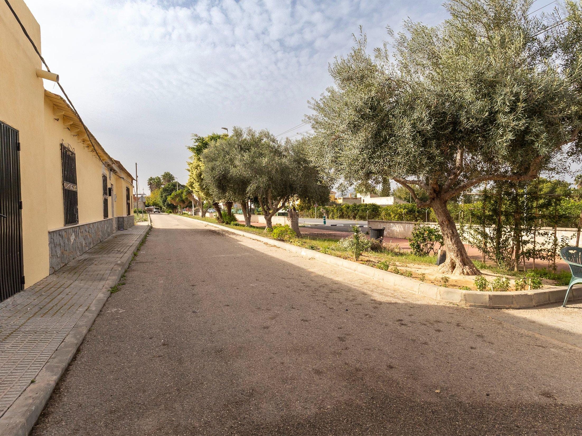 Casa adosada en venta - Almoradí  - 17