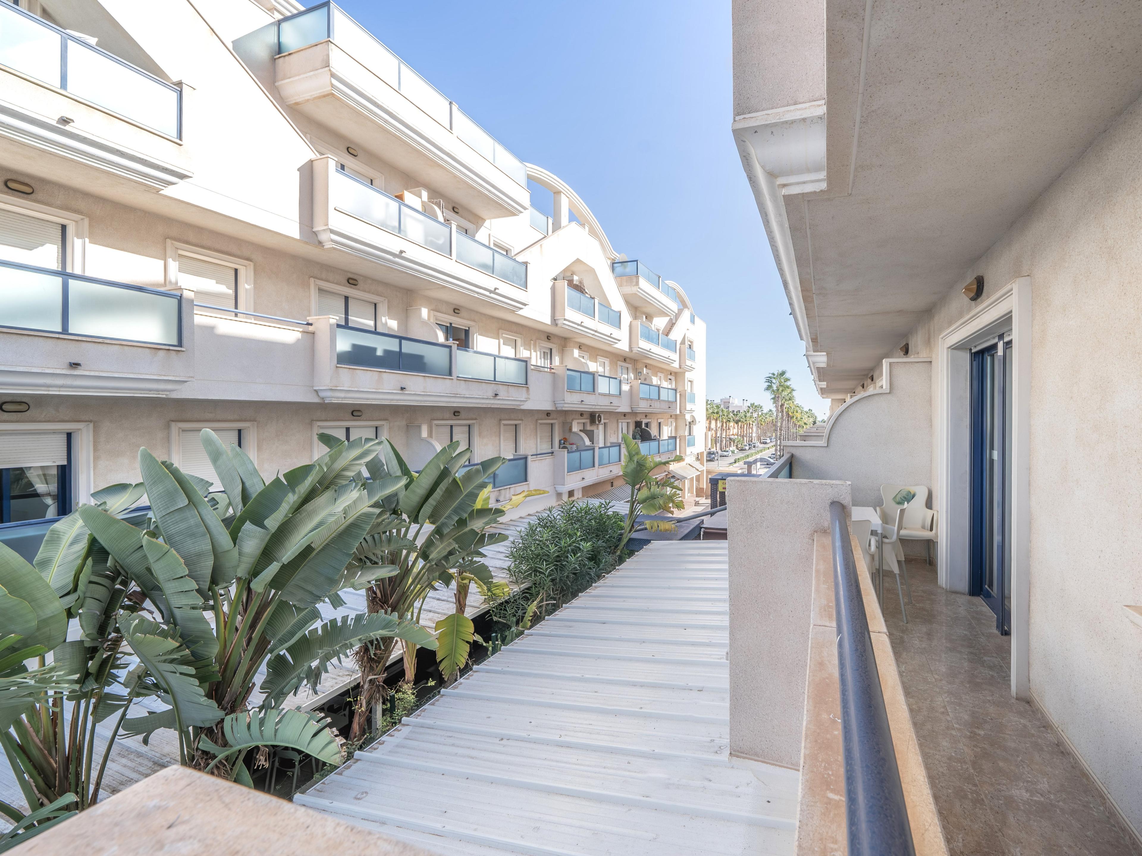 Piso en venta - Orihuela - 14