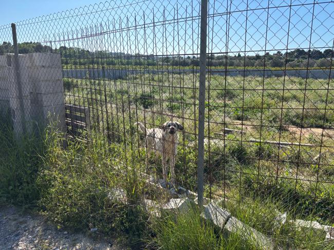 Terreno en Venta - Barranco de la Bota  - 6