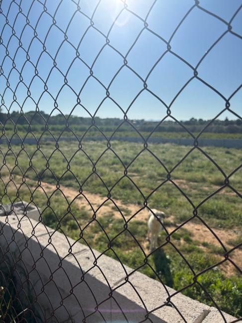 Terreno en Venta - Barranco de la Bota  - 7