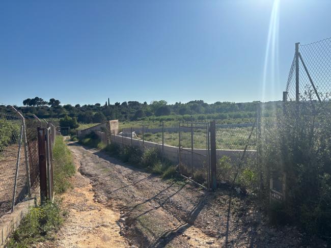 Terreno en Venta - Barranco de la Bota  - 9