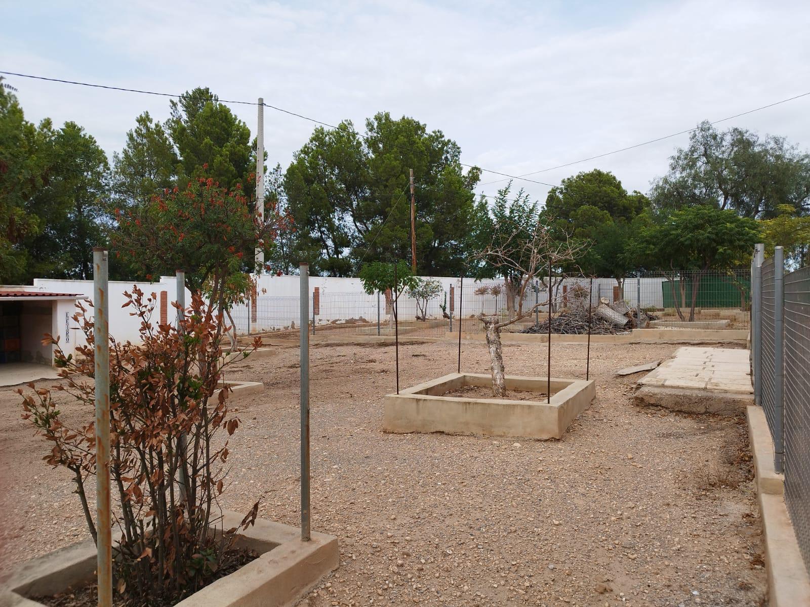 Finca en venta - Conarda-Montesano, Bétera - 35