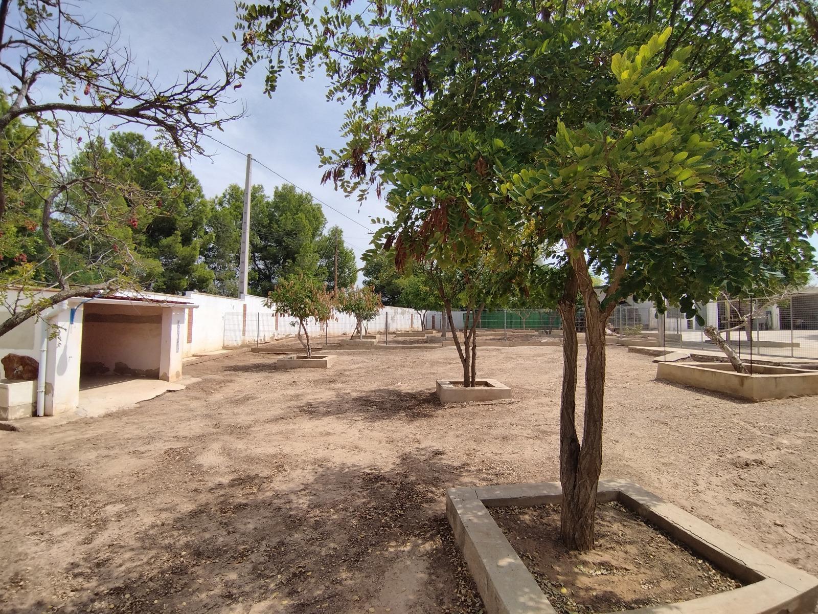 Finca en venta - Conarda-Montesano, Bétera - 36