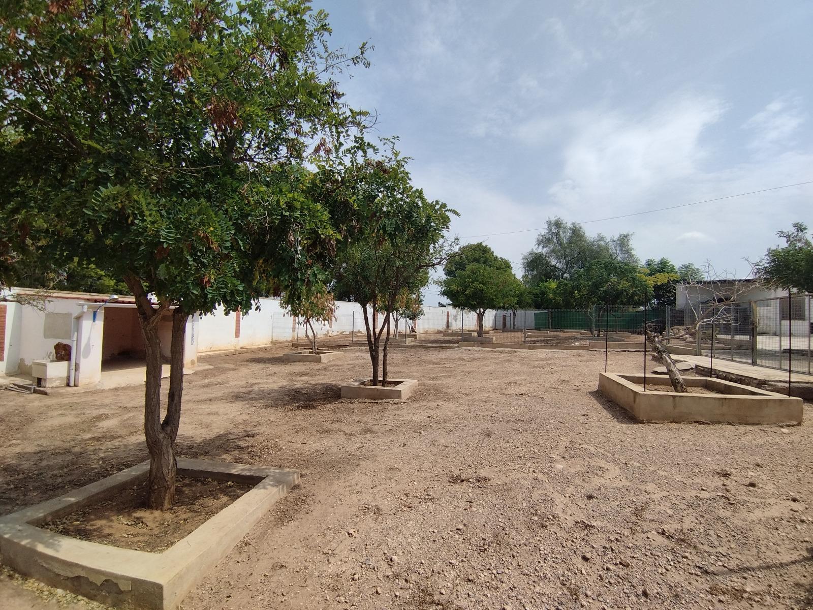 Finca en venta - Conarda-Montesano, Bétera - 37