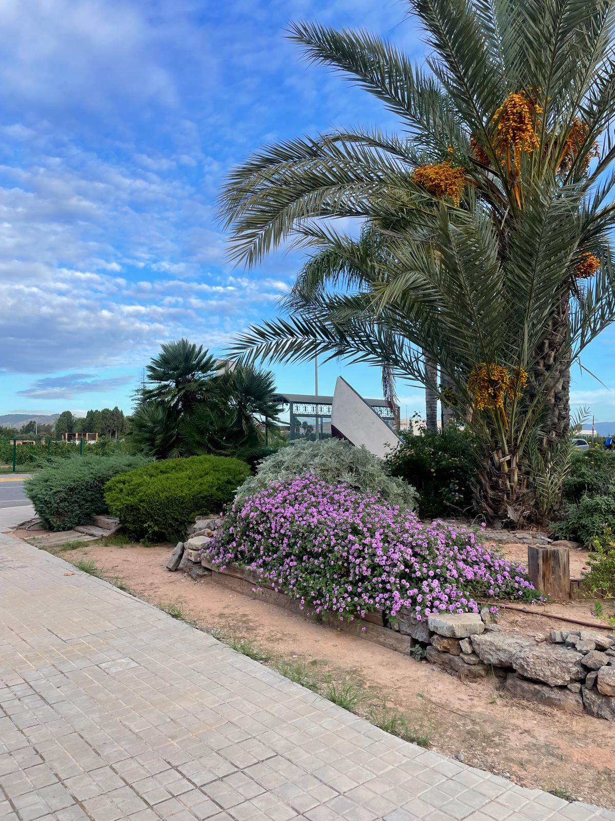 Loft en venta - Canet d Berenguer, Valencia - 20