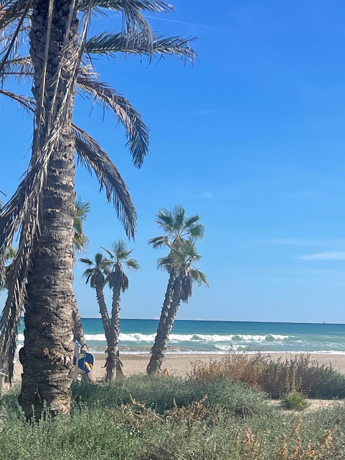 Loft en venta - Canet d Berenguer, Valencia - 22