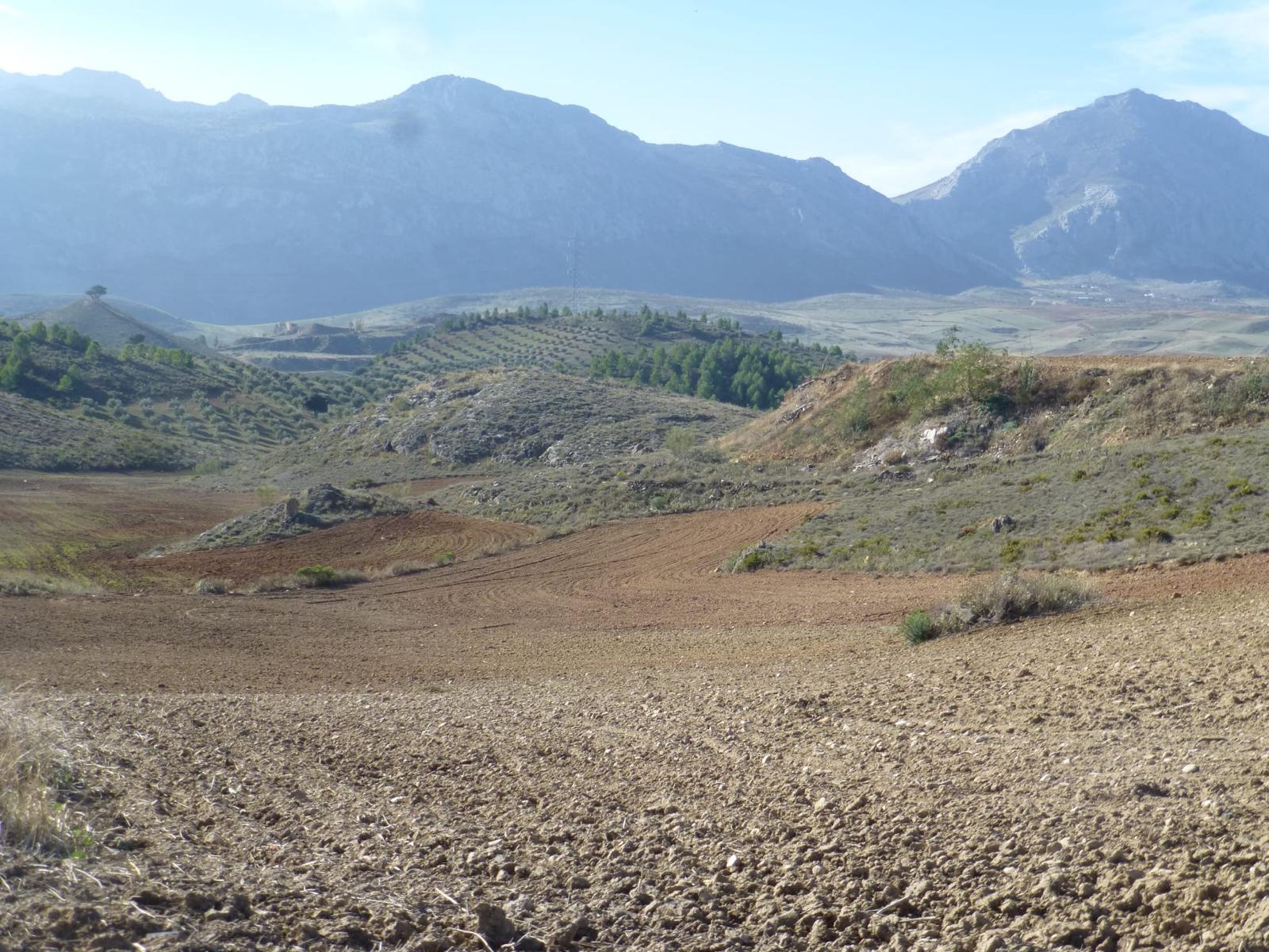 Parcela no edificable en venta en Antequera, Málaga - 4