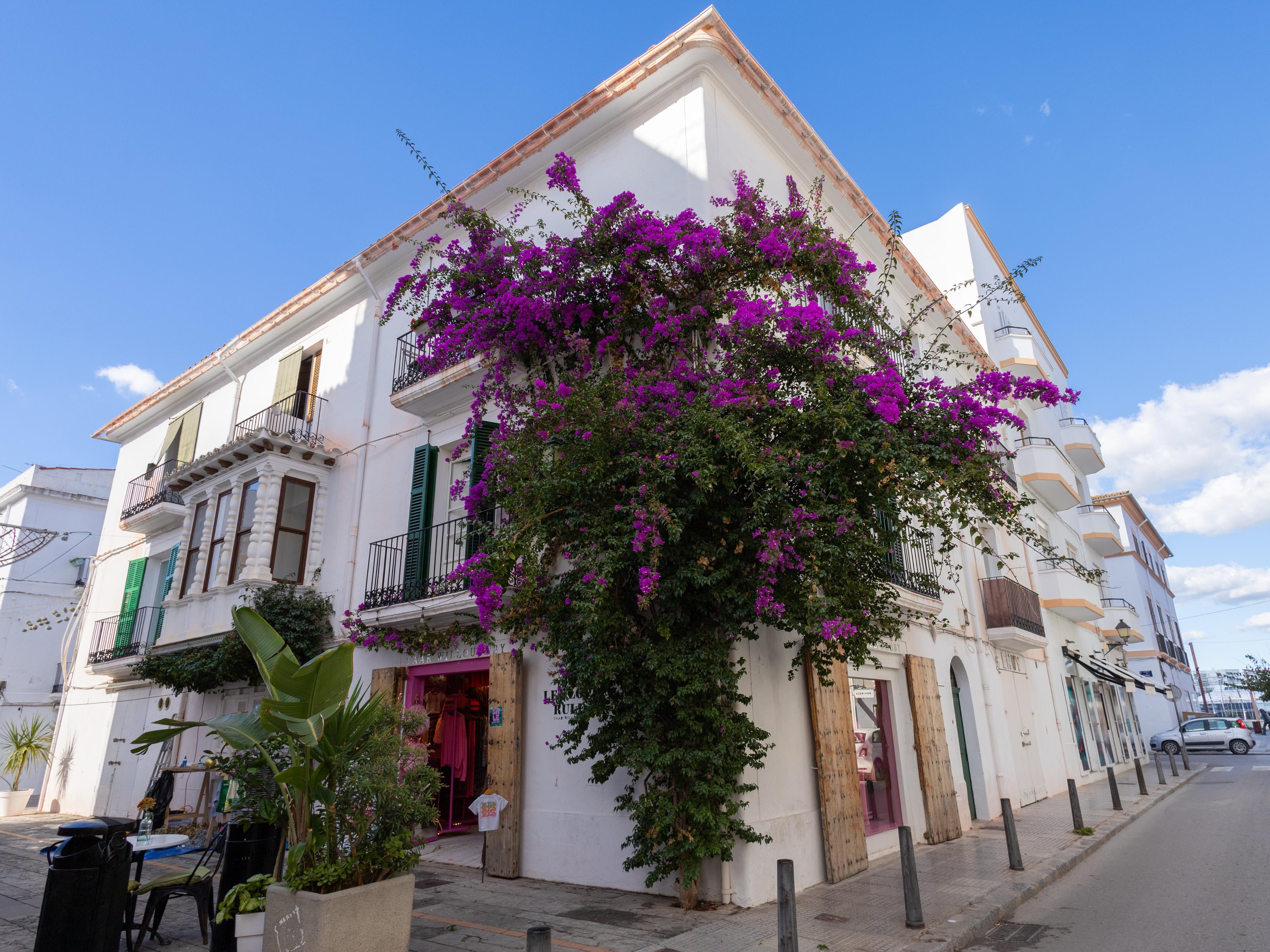 Loft en venta - Eivissa - 19