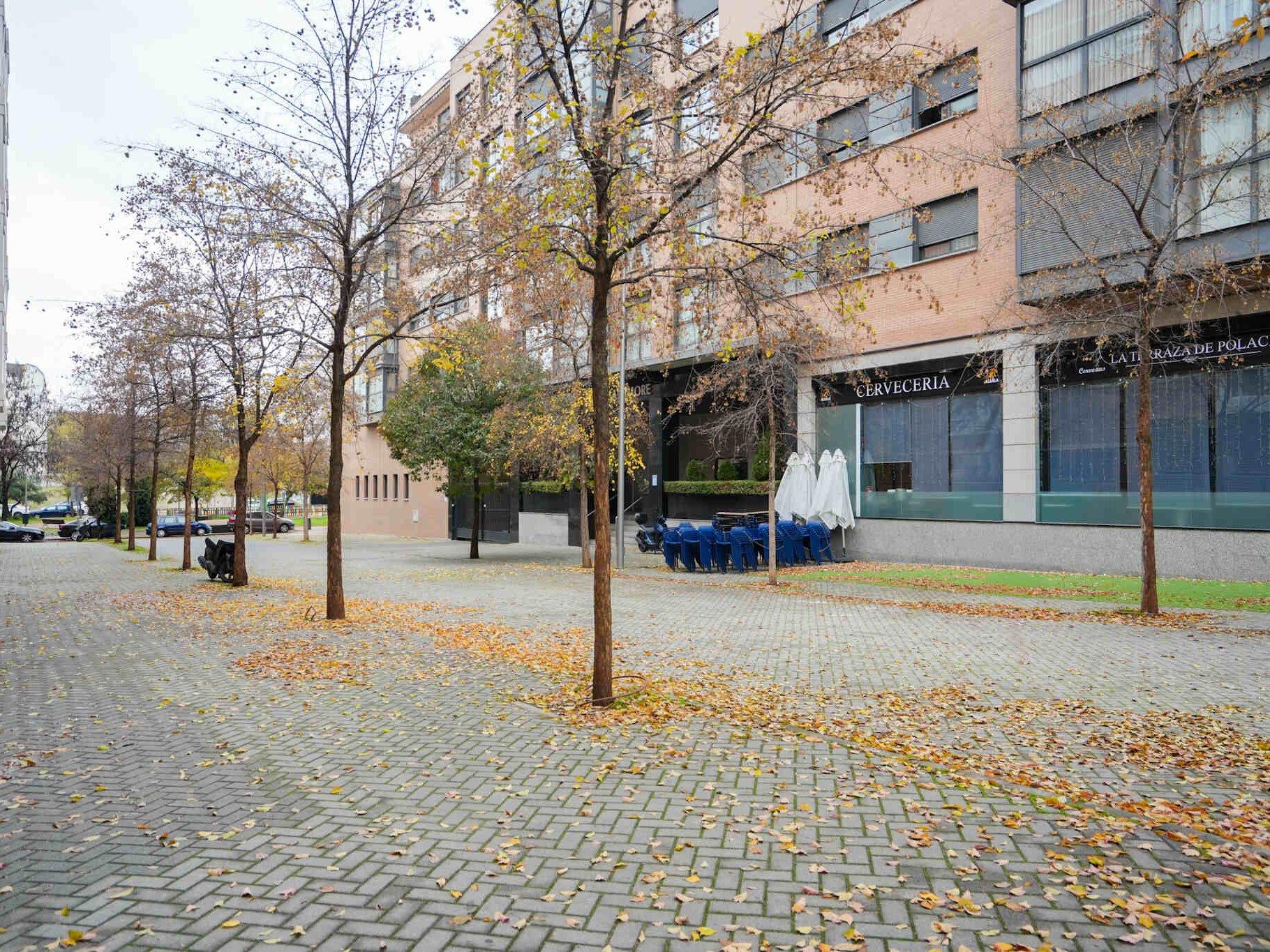 Ático Coqueto En Simancas  - 46