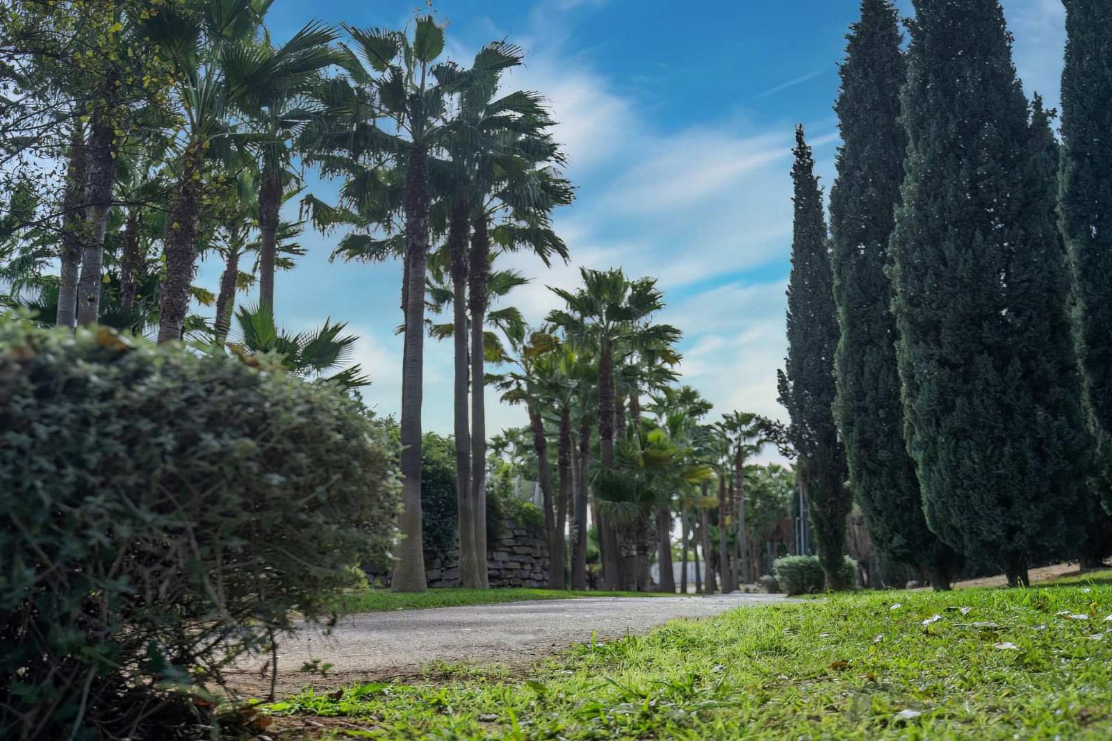 Piso en venta en Fuengirola, Málaga - 9