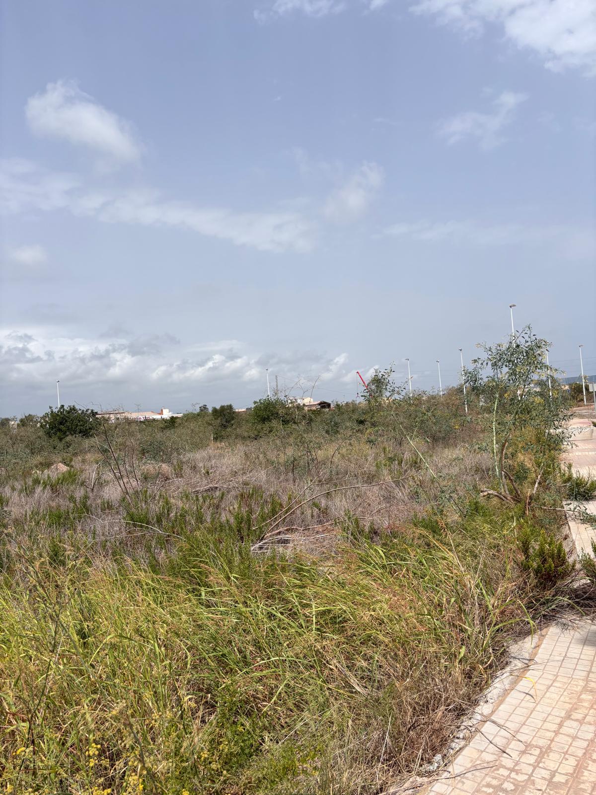 Parcela en venta - Parq Sagunto ll, Valencia  - 5