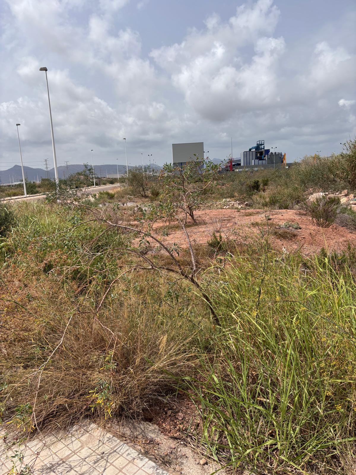 Parcela en venta - Parq Sagunto ll, Valencia  - 7