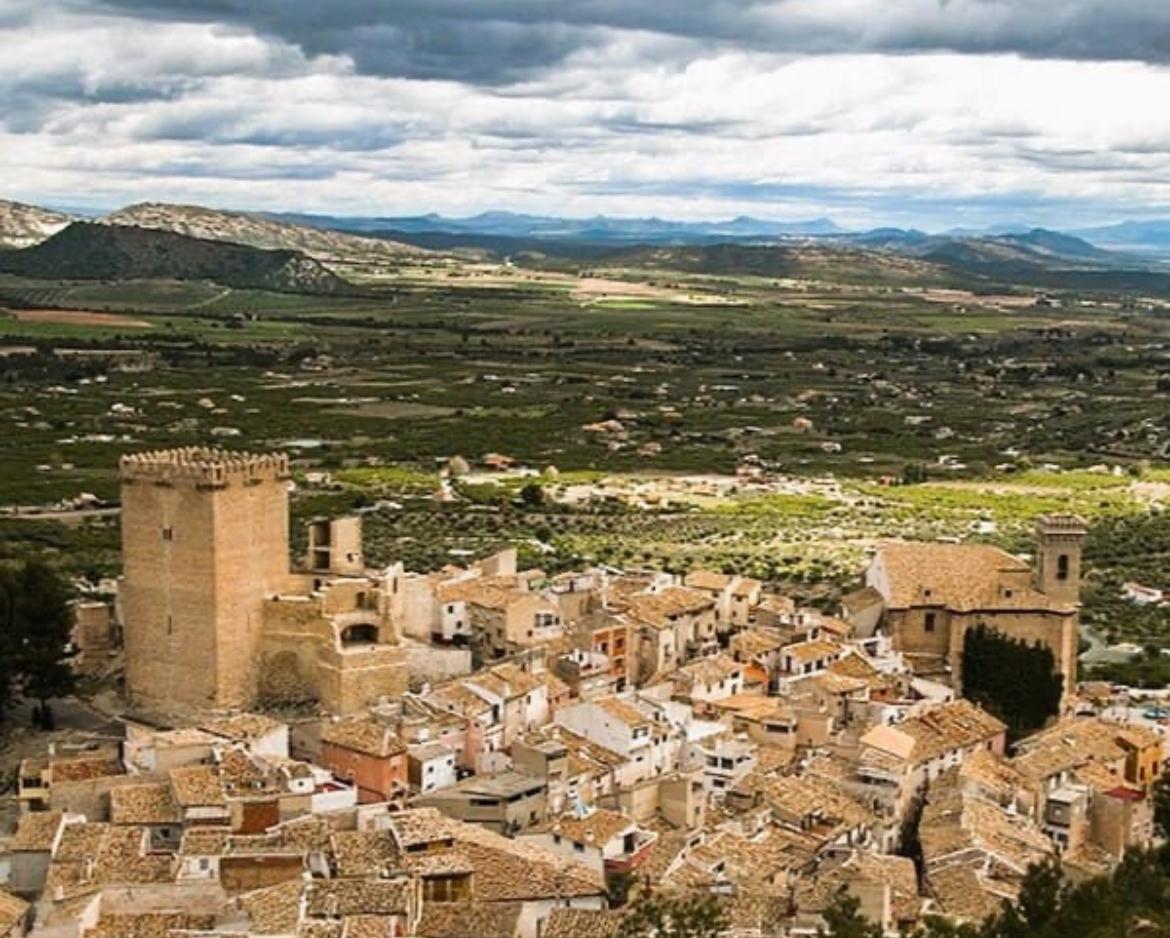 Venta- Coto De Caza Menor, Alicante  - 1