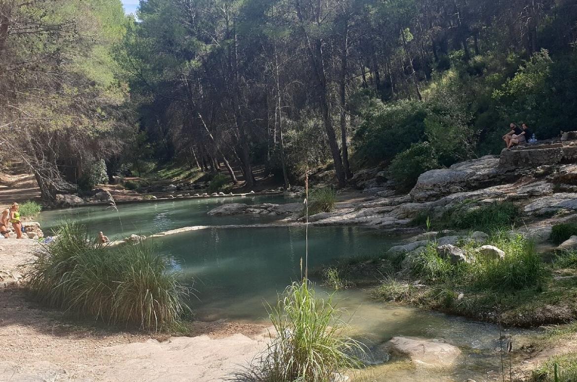 Venta- Coto De Caza Menor, Alicante  - 6