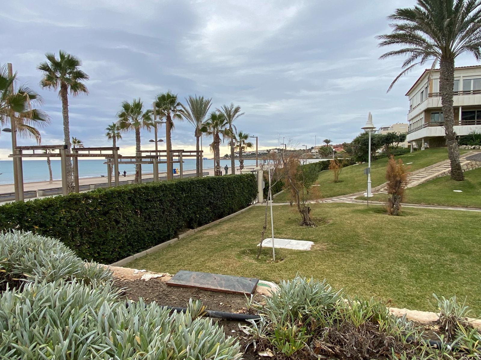 Apartamento en alquiler - Alicante - 3