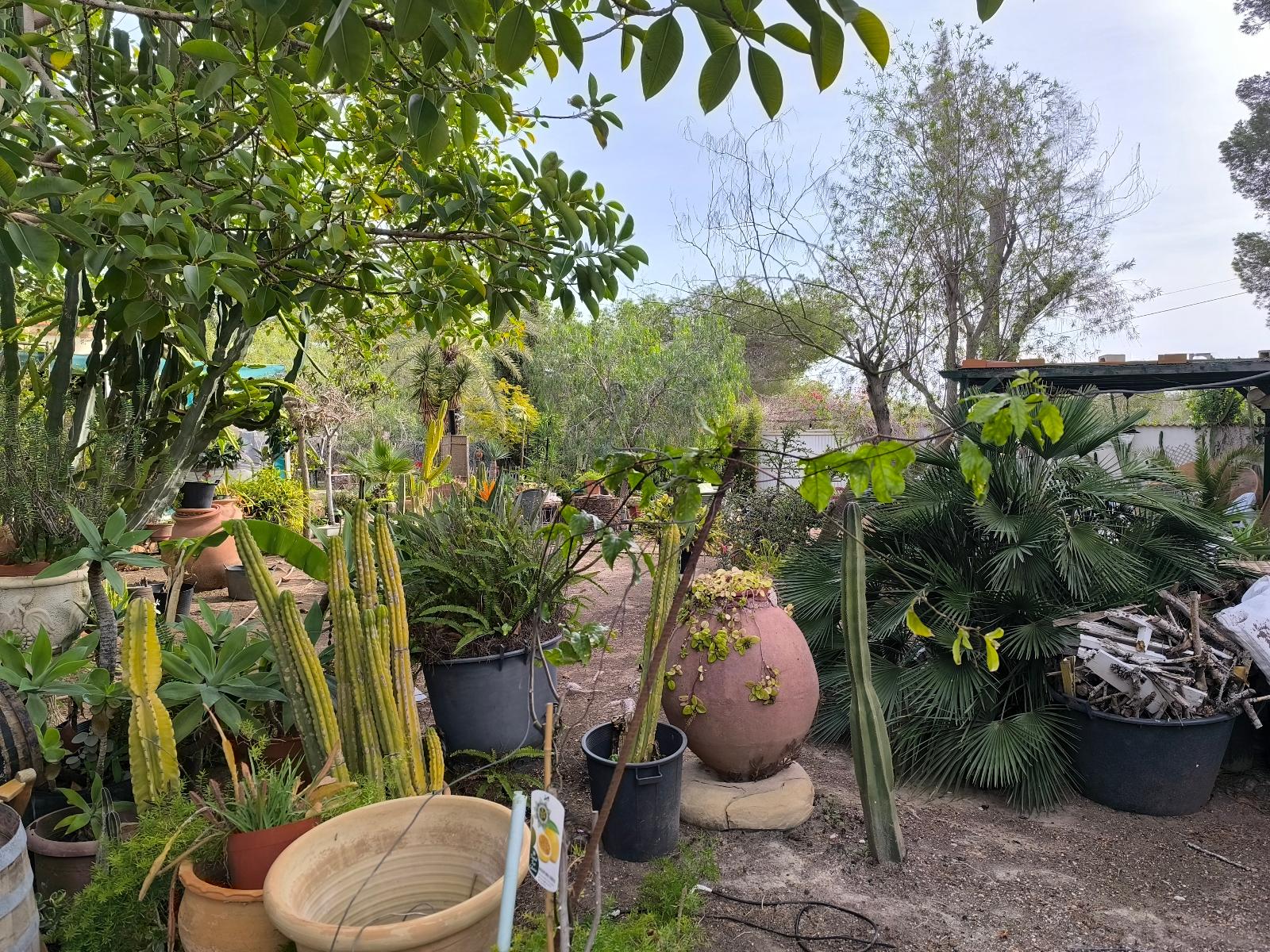 Chalet Independiente en venta en Dehesa De Campoamor, Alicante - 2