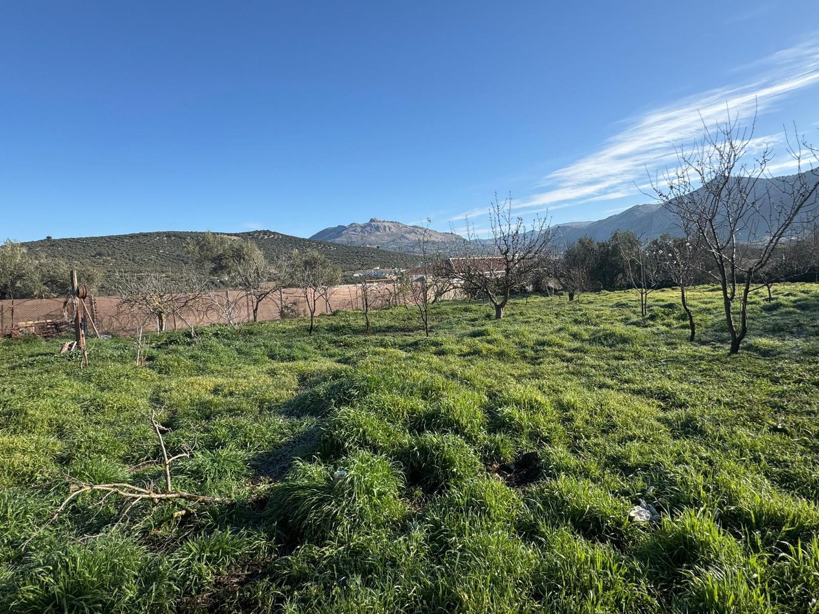 Finca Rústica En El Trabuco - 30
