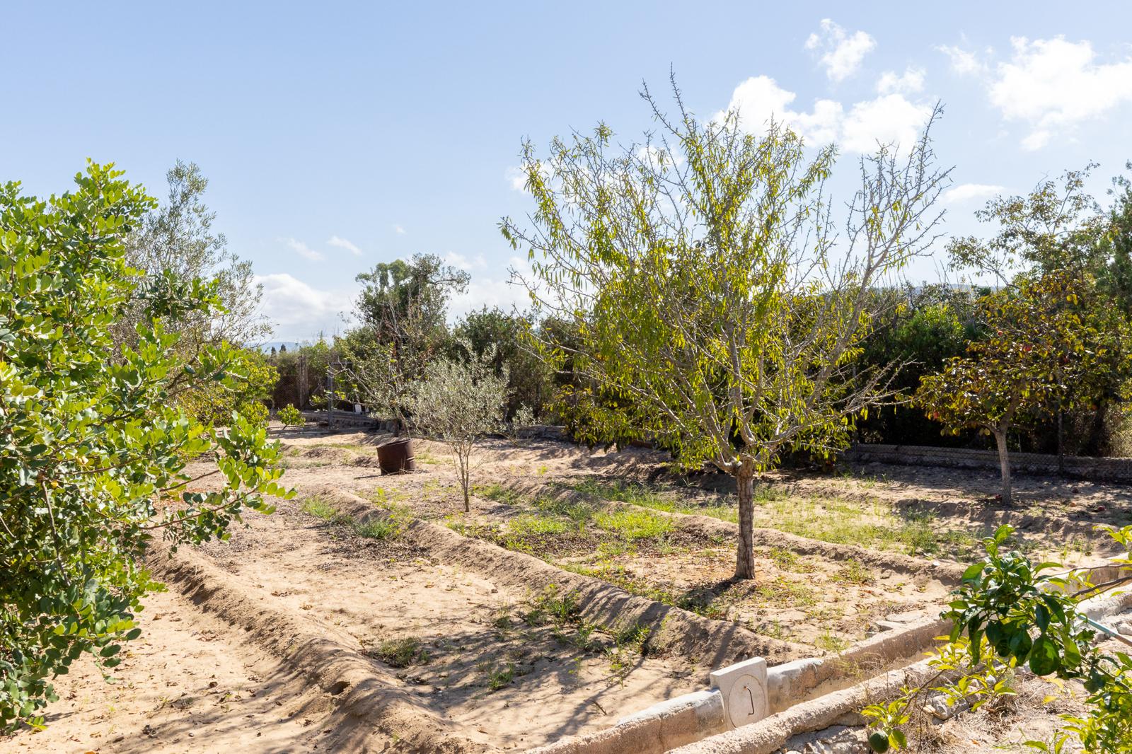 Vivienda en primera planta con piscina privada y gran parcela – Playa de Gandía (L’Ahuir)  - 10