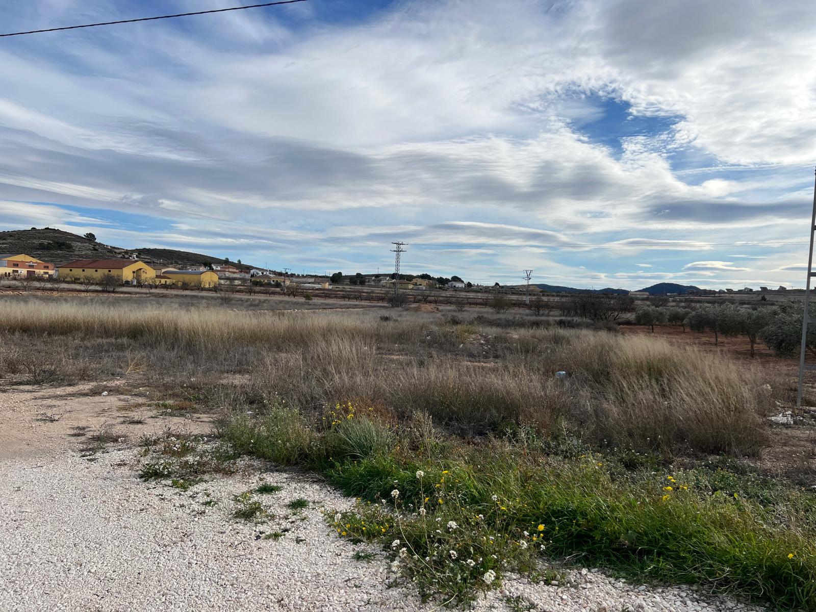 Venta de casa con 2 terrenos - Cañada del Trigo, Murcia - 18