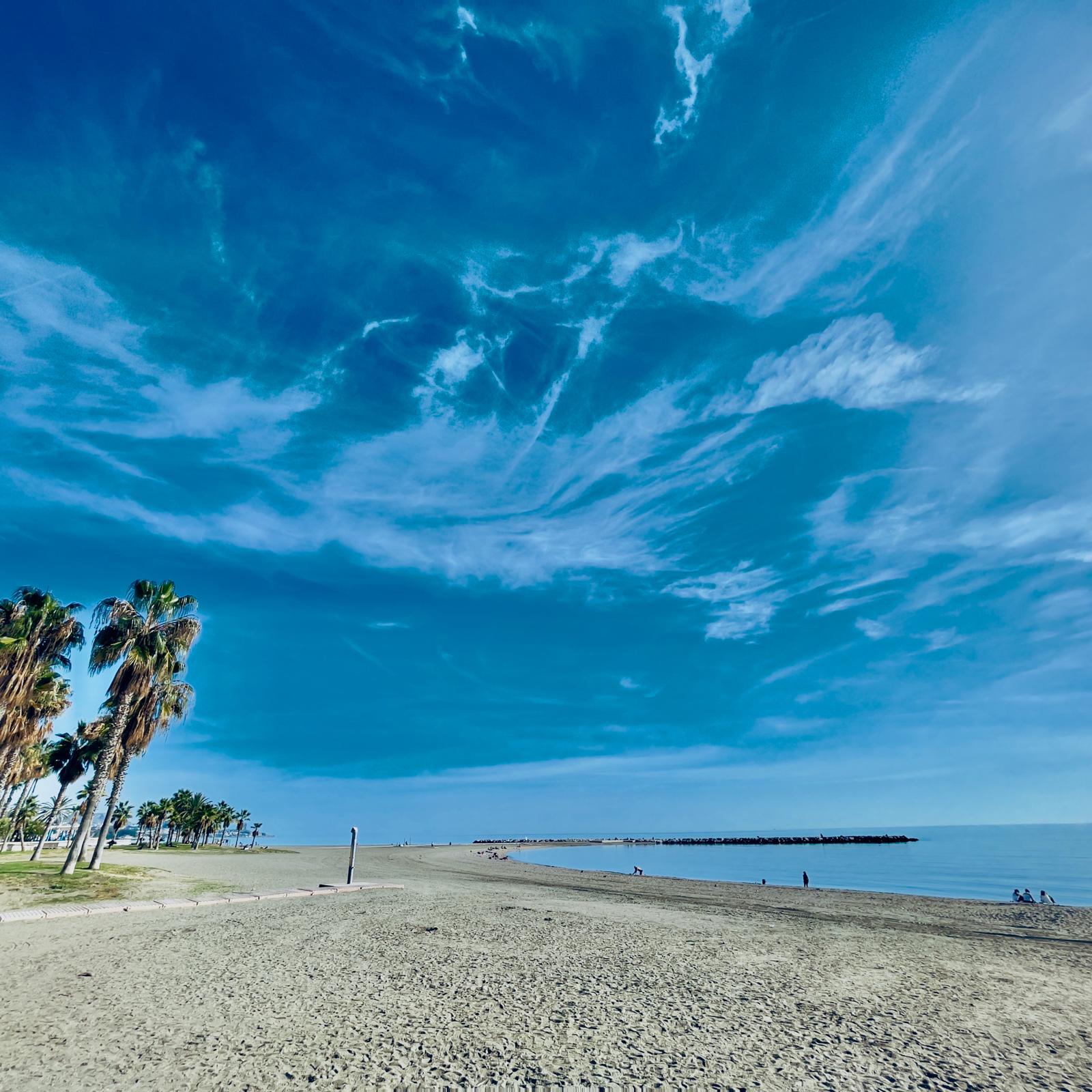 Vivienda Premium Obra Nueva - Alameda P. Málaga. - 4