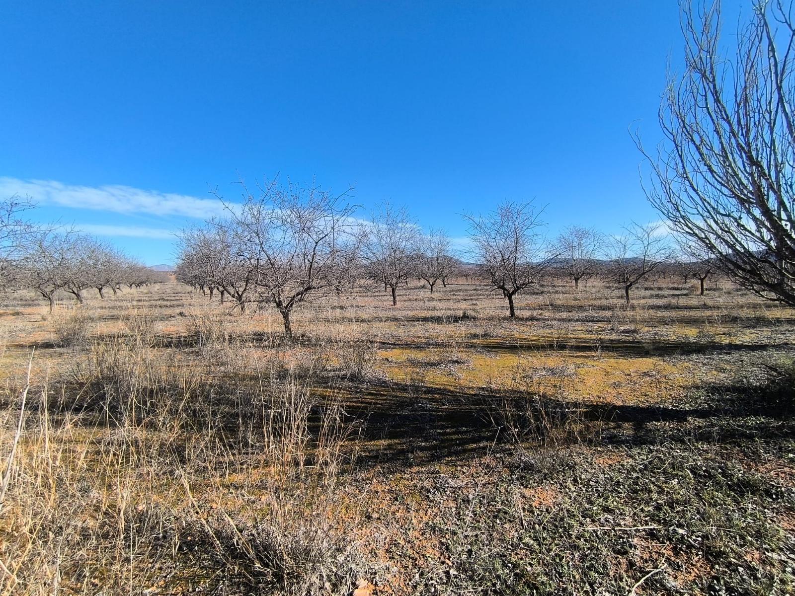 Casa en venta - Murcia - 9