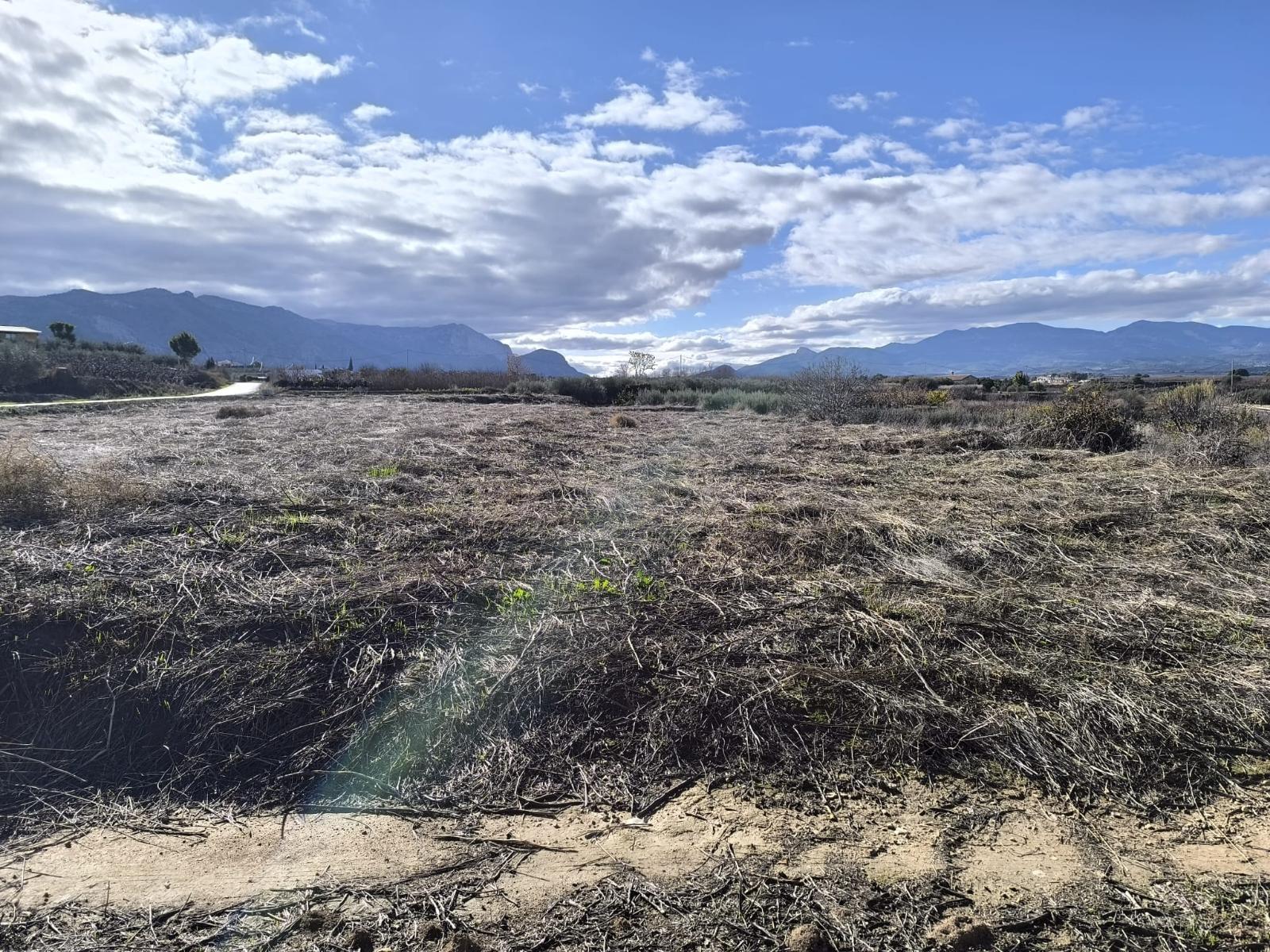 Casa Rústica en Venta – Pliego, Murcia - 20