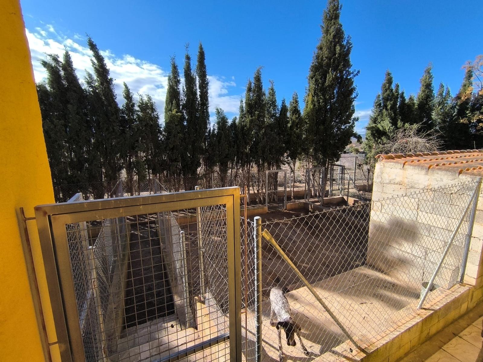 Casa Rústica en Venta – Pliego, Murcia - 19