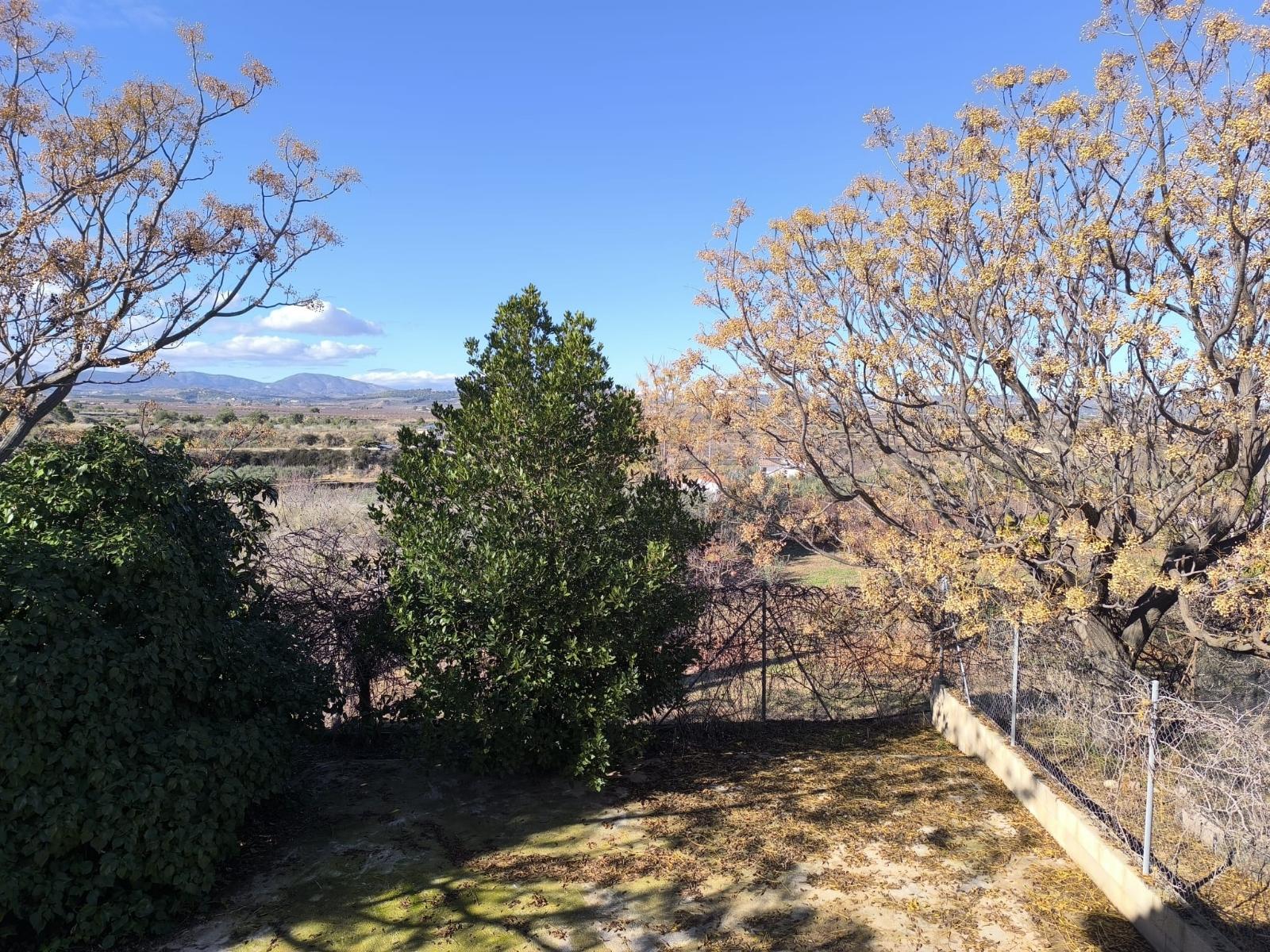 Casa Rústica en Venta – Pliego, Murcia - 17